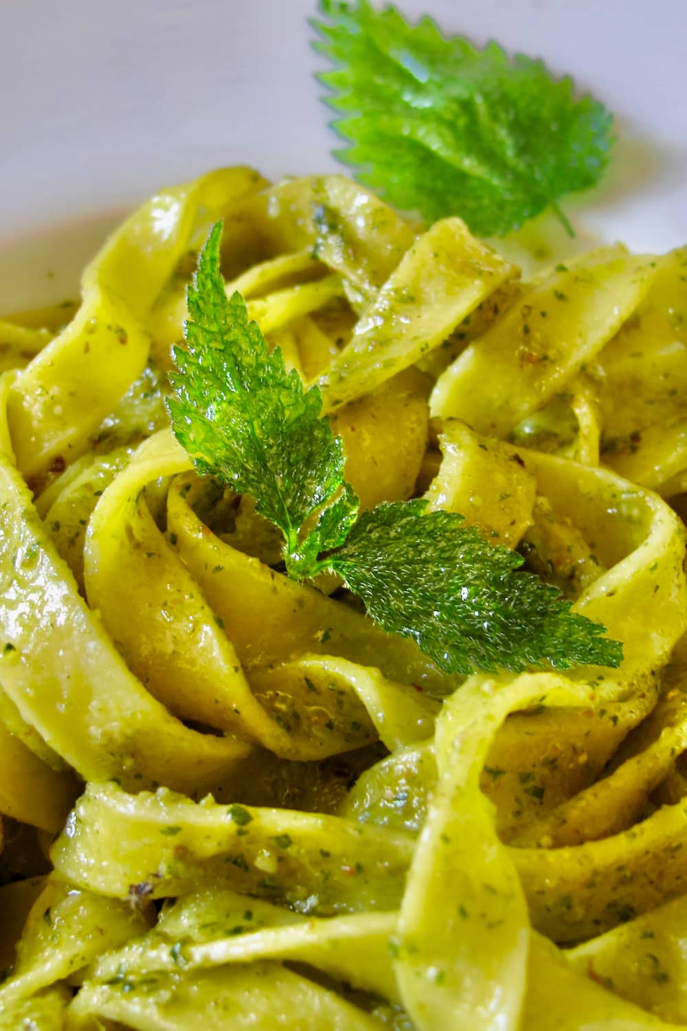 pasta ribbons with deep fried nettles tossed in nettle pesto