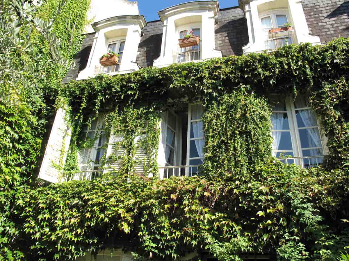 ivy covered hotel with shutters