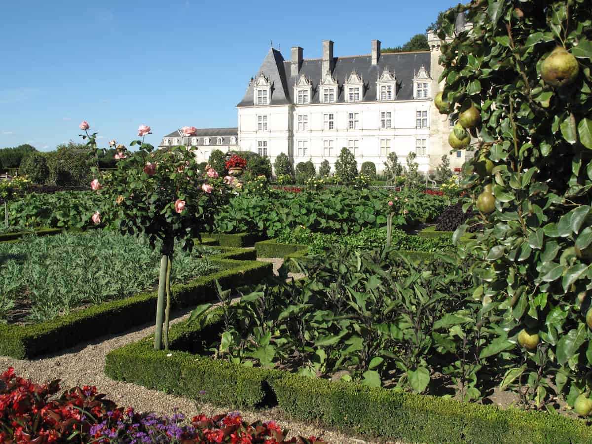 french castle gardens with a pear tree