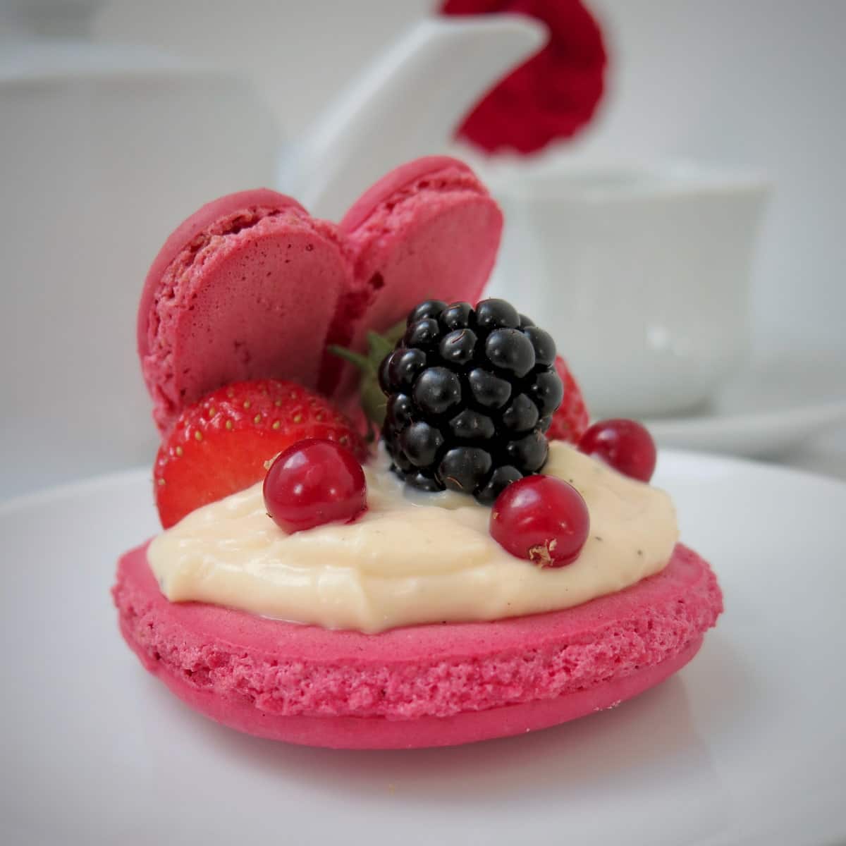 giant macaron open like an oyster shell with berries