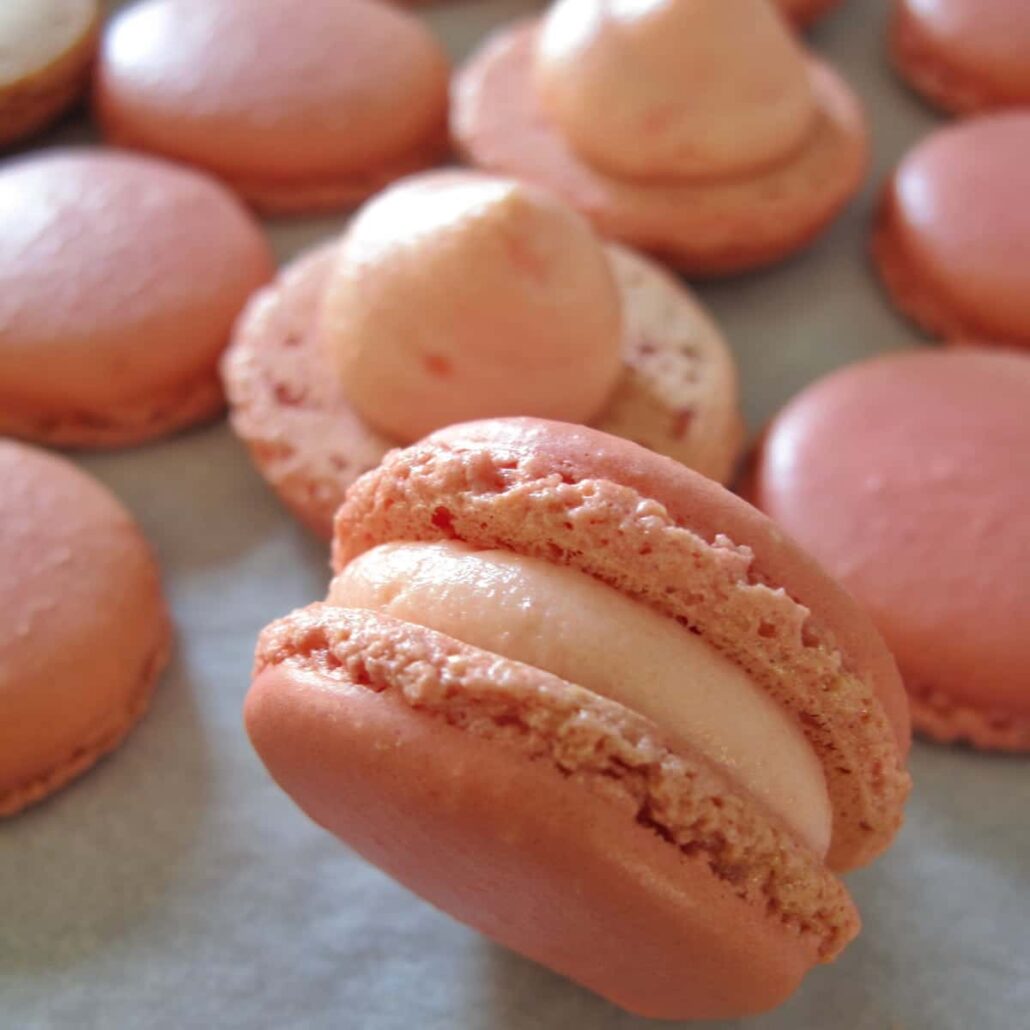 close-up of a macaron sandwiched cookie with its traditional ruffled feet