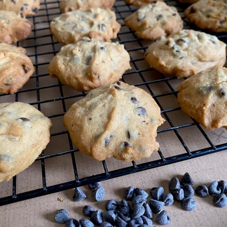 Peanut Butter Chocolate Chip Cookies
