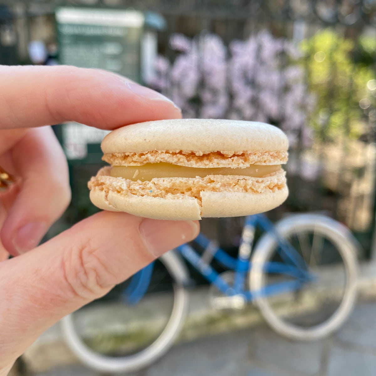 holding a Parisian macaron next to a French bicycle
