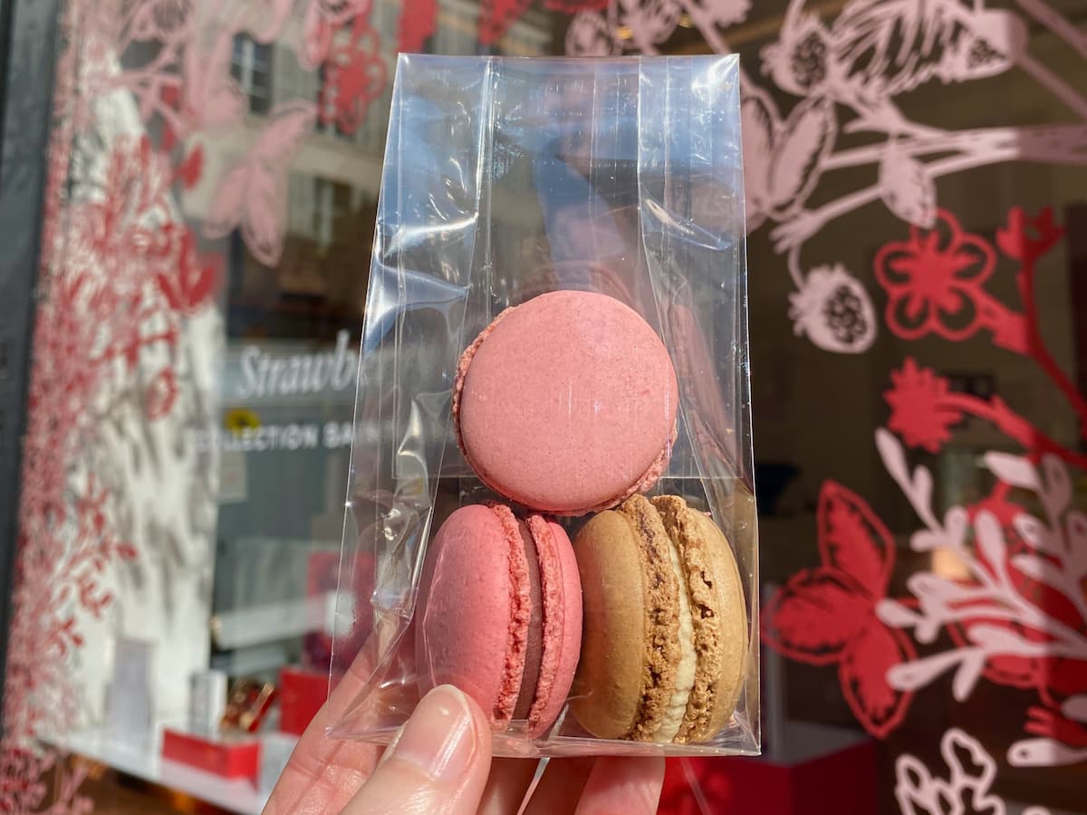 holding a little packet of 3 macarons