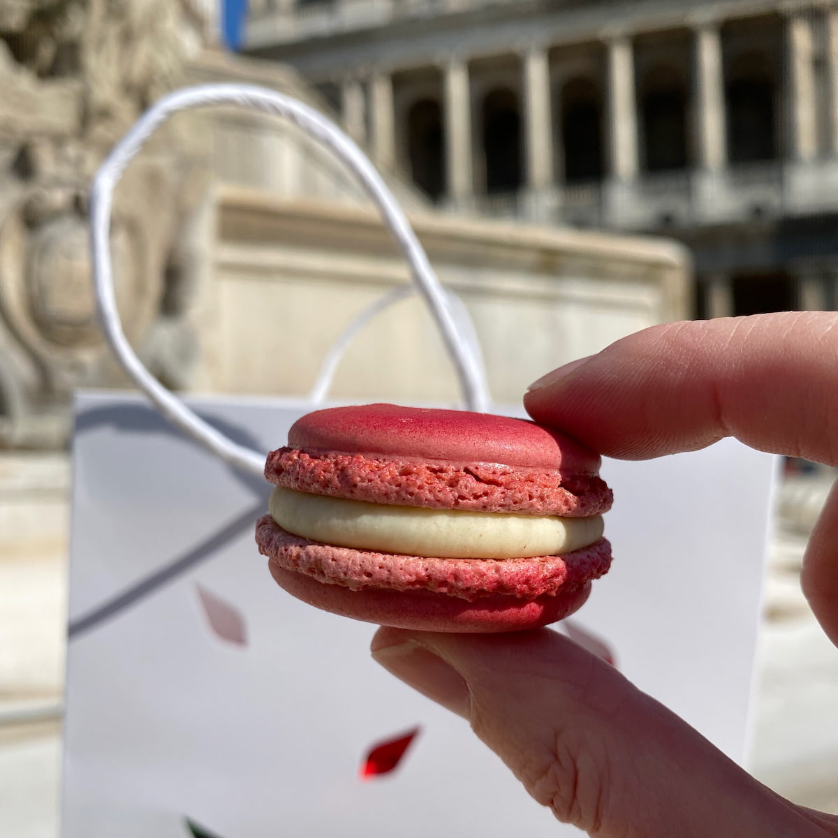 a pink macaron and white bag