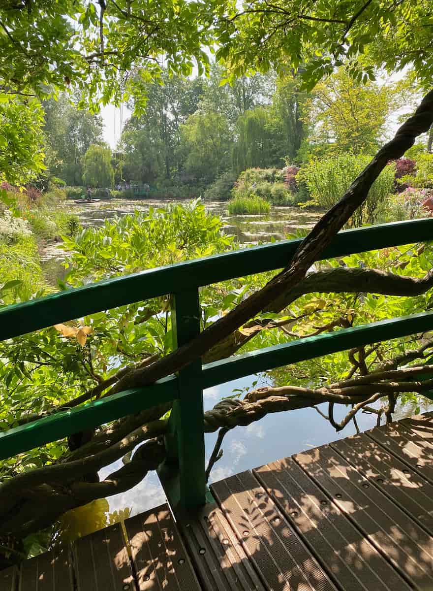 view of water lilies from Japanese bridge, Monet's garden