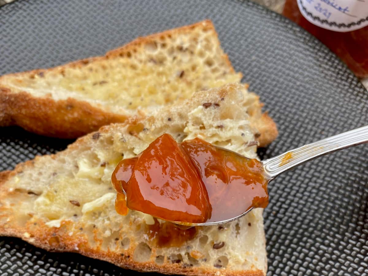 spoonful of apricot jam on tartines