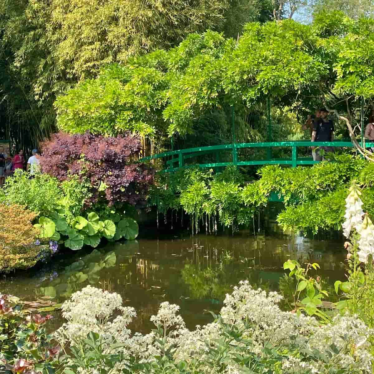 green japanese bridge in lush gardens