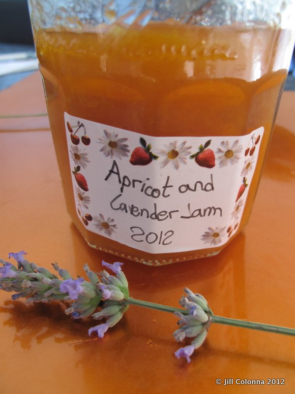 lavender-apricot-jam-pot apricot lavender jam