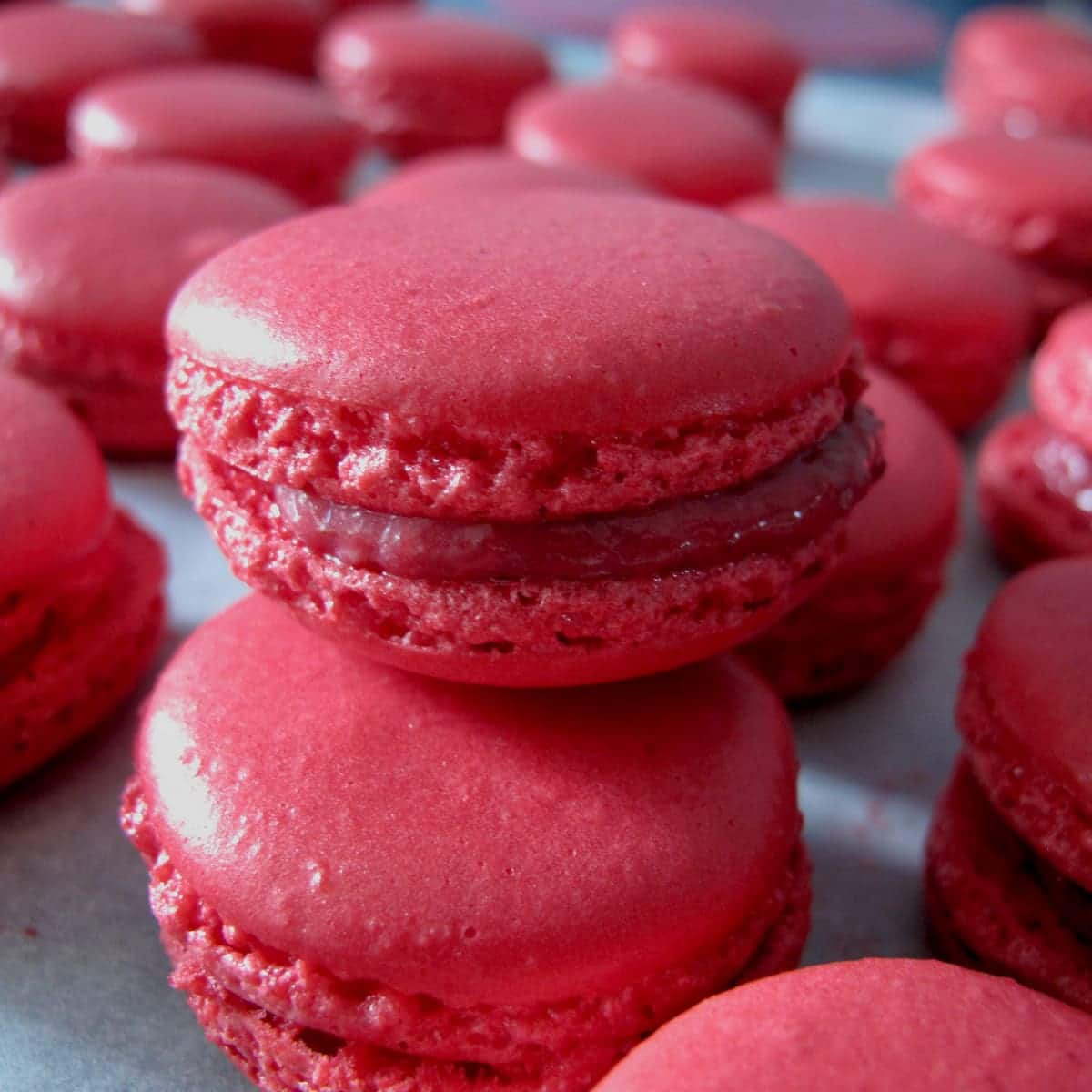 deep pink shiny macarons