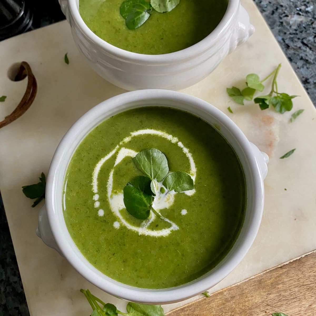 French lion bowl of bright green watercress soup