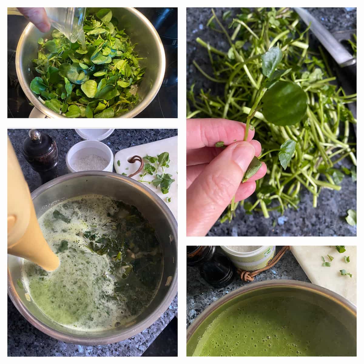 step-by-step photos for making watercress soup
