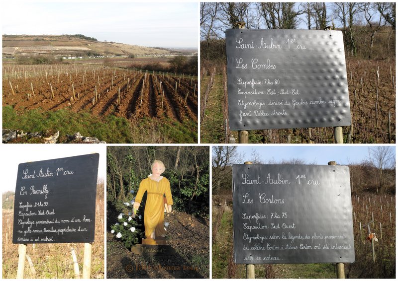 St Aubin Burgundy 130 hectares of premier cru wine