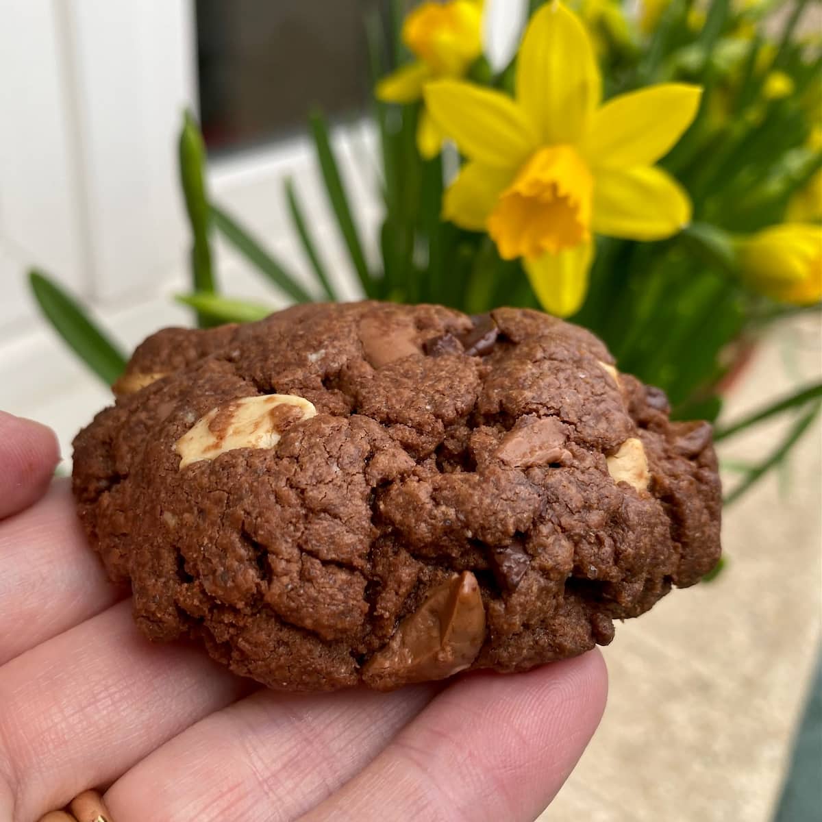 a chocolate brownie cookie next to daffodils