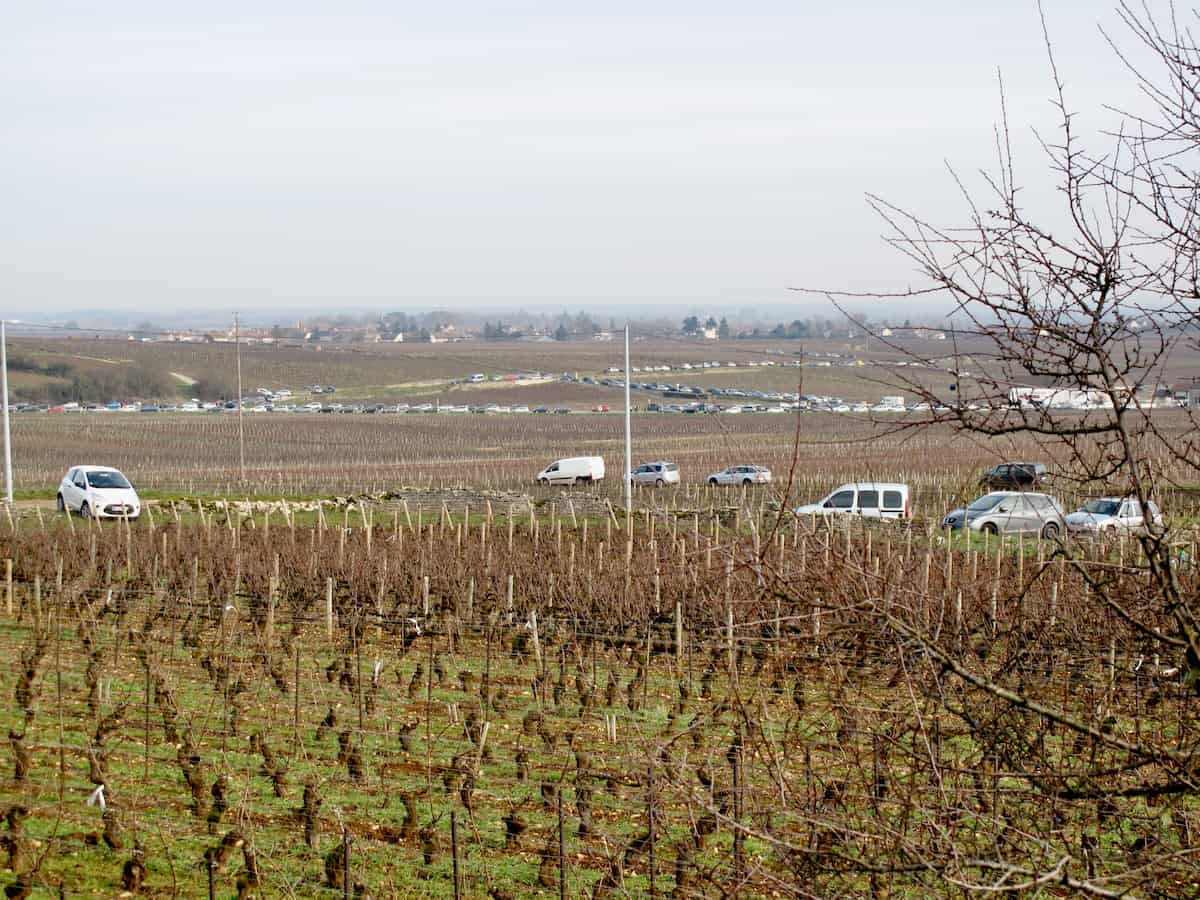Burgundy vineyards with cars parked everywhere in between