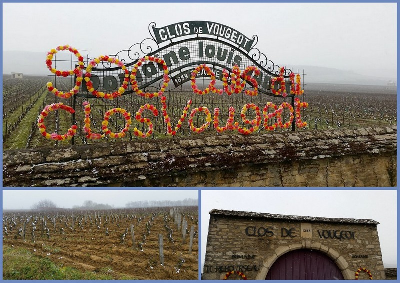 Clos Vougeot Burgundy French vineyards in winter