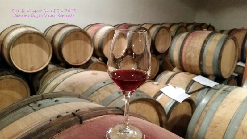 Domaine Guyon Vosne-Romanée best wines in Burgundy