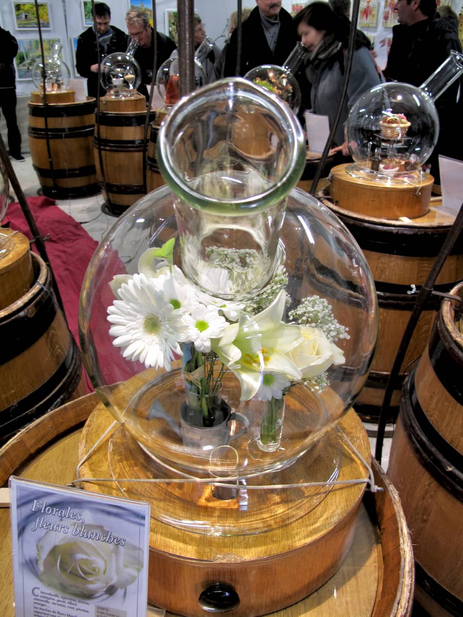 white flowers in a carafe