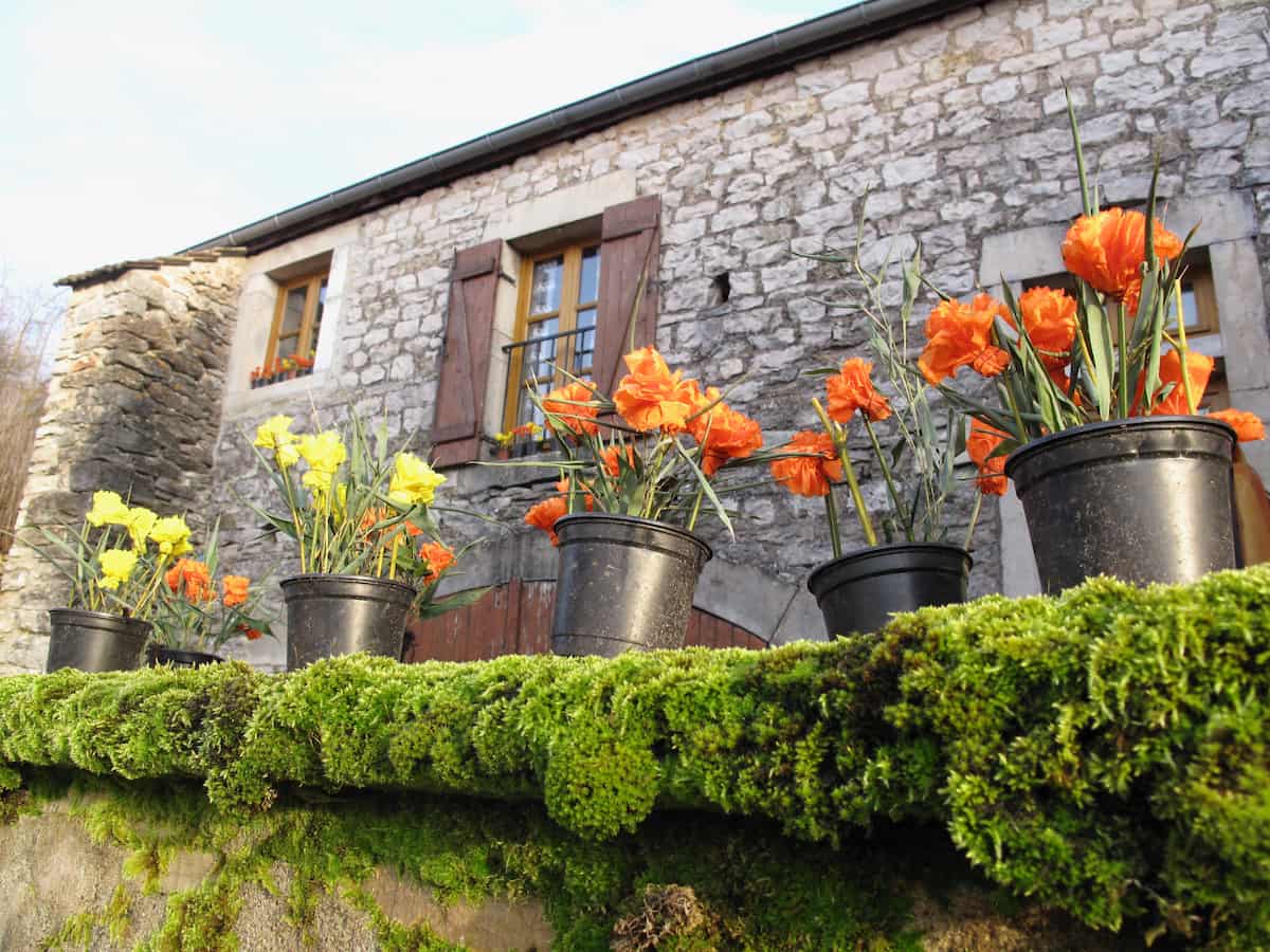 french house with plant pots and paper flowers
