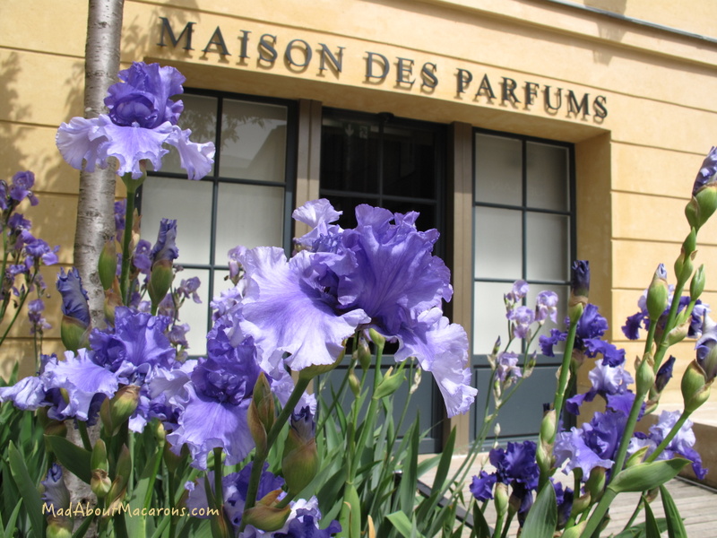Irises at the maison des parfums versailles