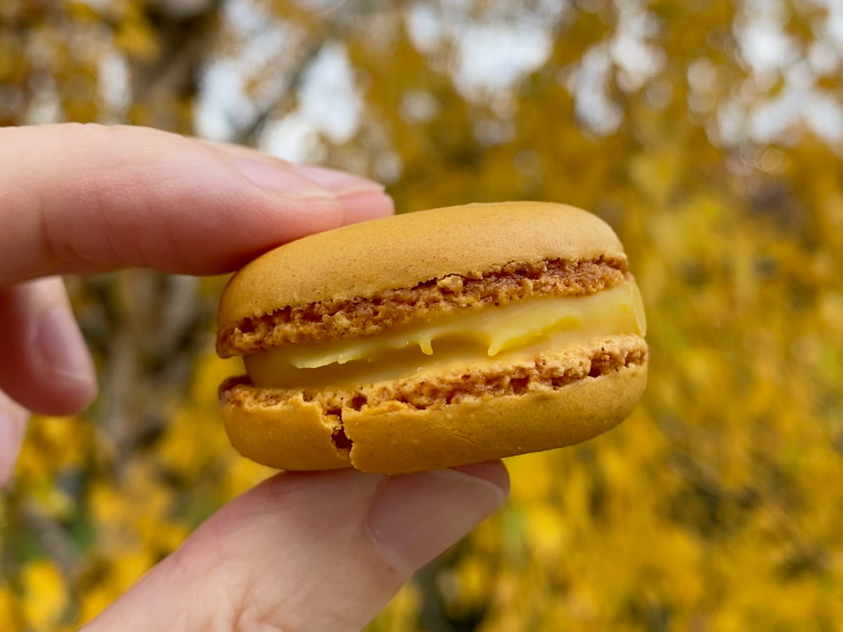 orange macaron shell with a yellow mango filling