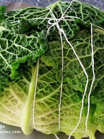 cabbage parcel tied up with string