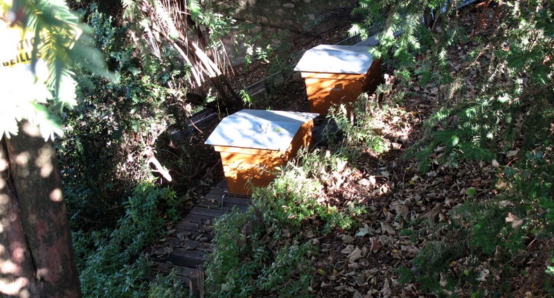 Renoir Cafe Gardens Beehives Montmartre Museum