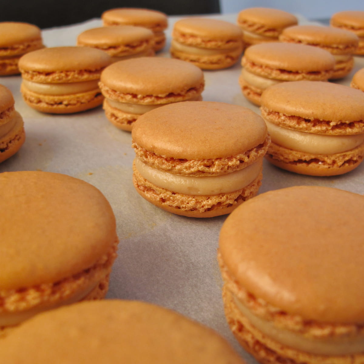 batch of garnished salted caramel macarons on a baking tray