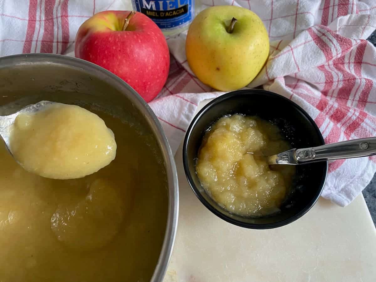 apple compote and sauce next to each other - one blended smooth; the other with apple bits in it