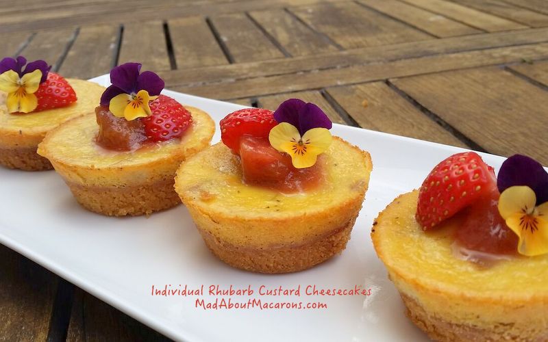 individual baked cheesecakes rhubarb and custard with strawberry