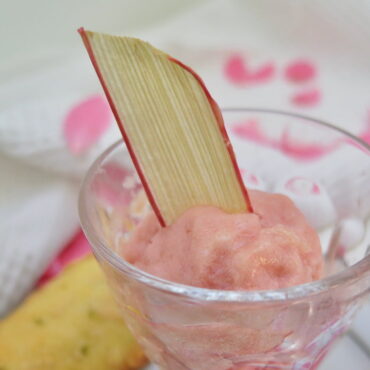 slice of dried rhubarb sticking out of a glass of sorbet