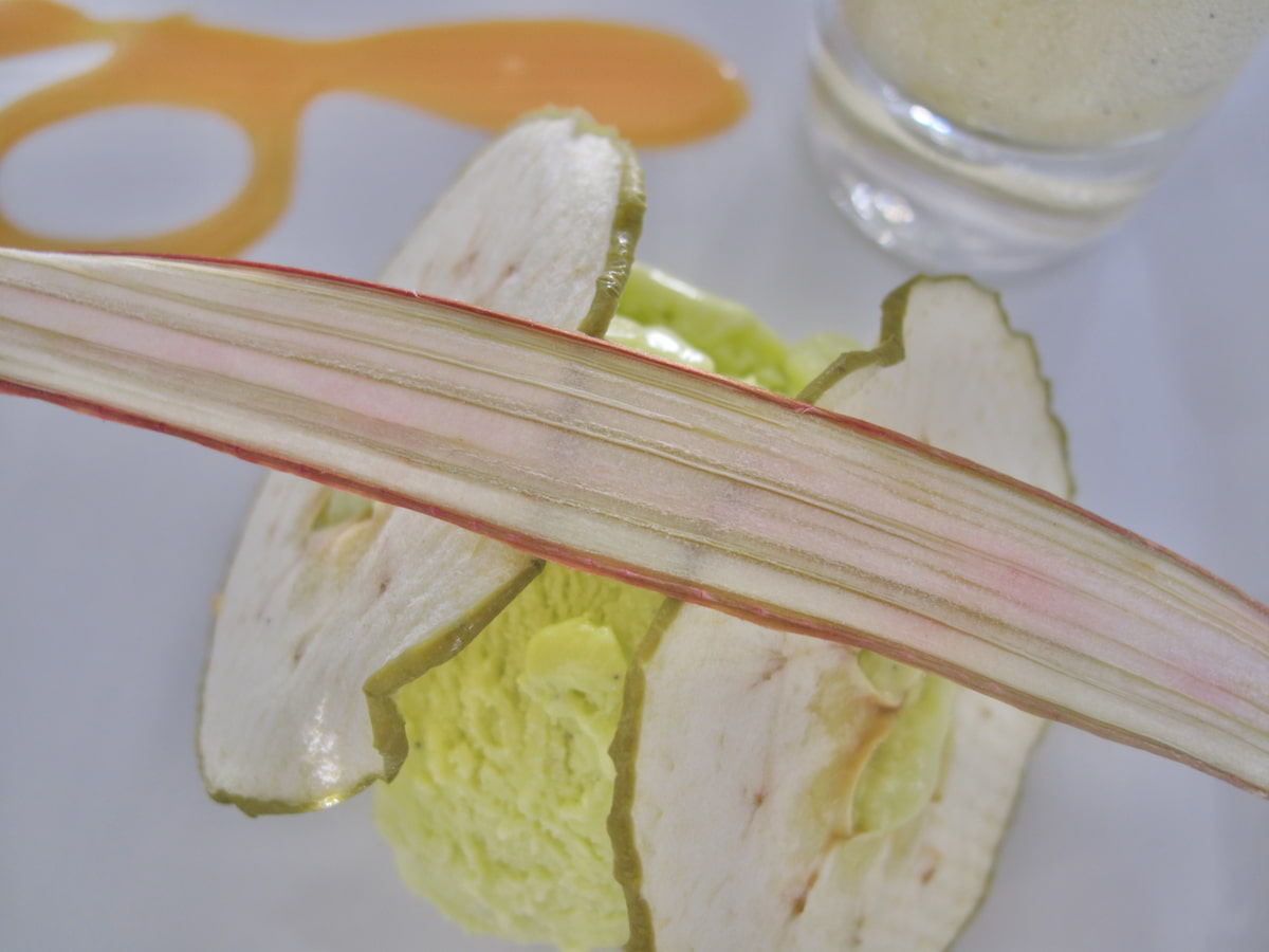 long slice of dried rhubarb and apples with ice cream