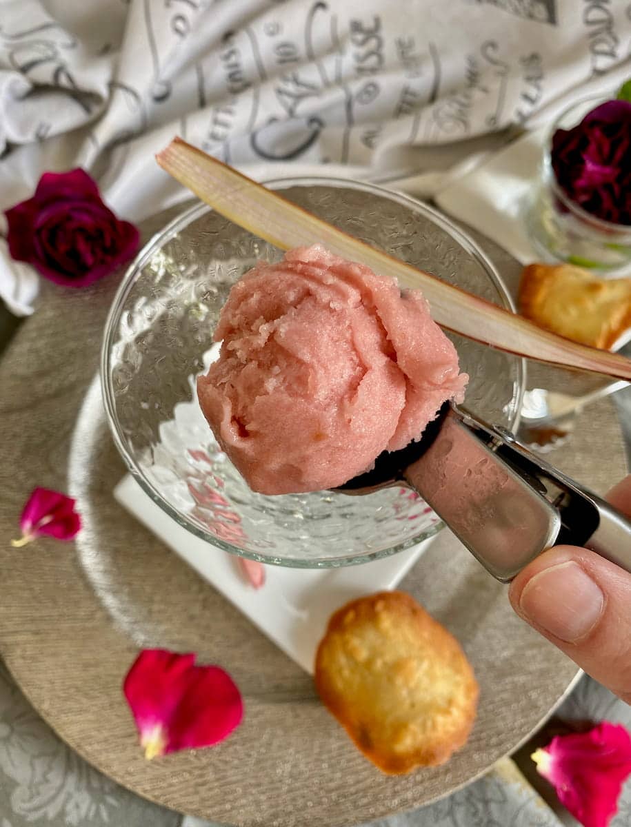 scoop of sorbet looking like a rose