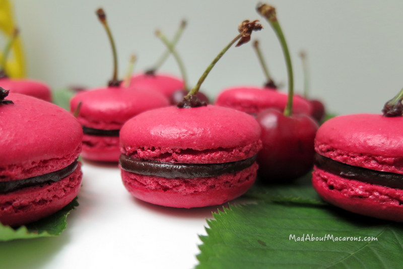 dark chocolate cherry ganache macaron filling