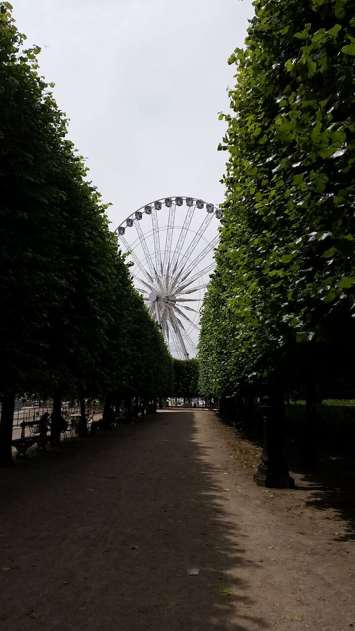 Tuileries-gardens-paris-summer