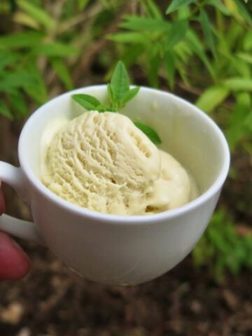mini cup of creamy ice cream with a sprig of lemon verbena leaves