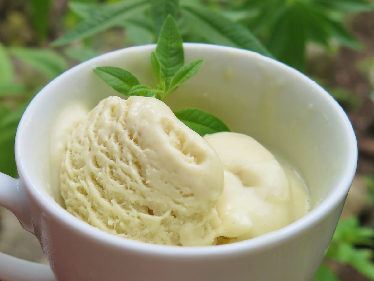 close-up of melting ice cream - creamy subtle green with sprig of lemon verbena leaves