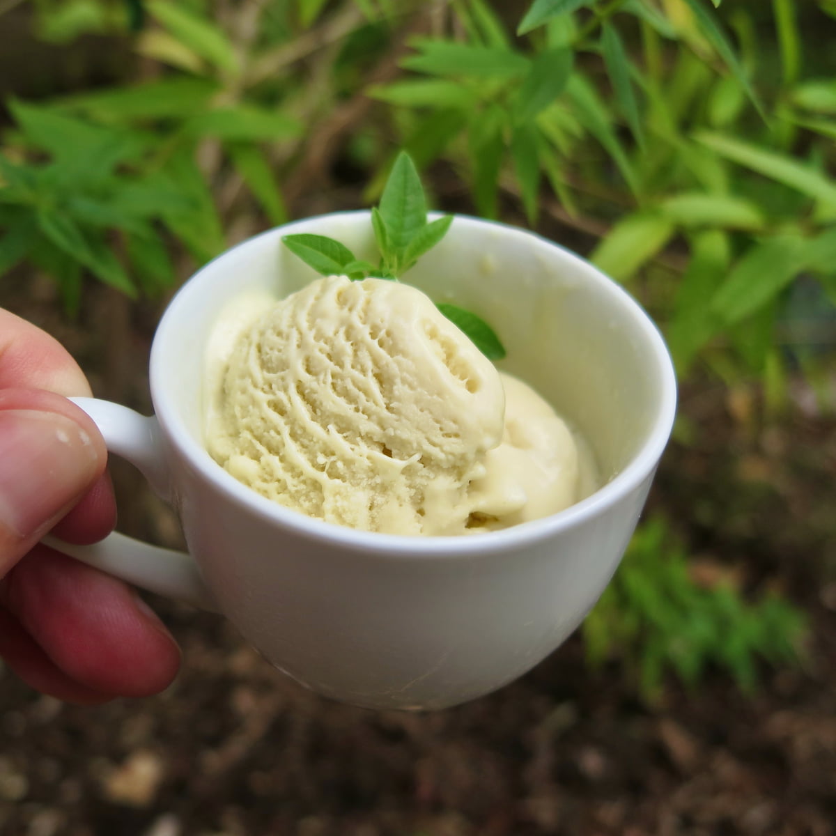 mini cup of creamy ice cream with a sprig of lemon verbena leaves