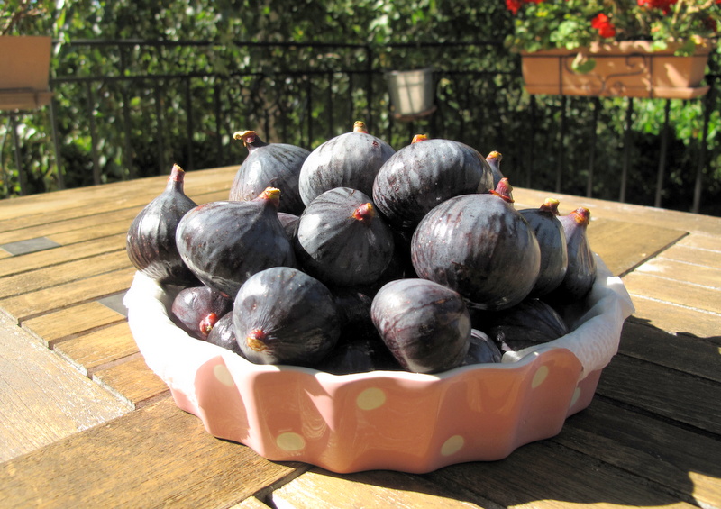 fresh violet figs