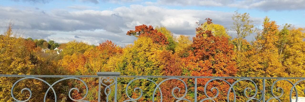 saint-germain-en-laye park in autumn or fall