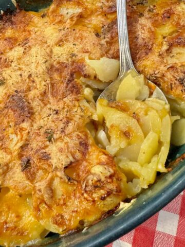 soft scalloped potatoes in a gratin dish topped with crispy cheese
