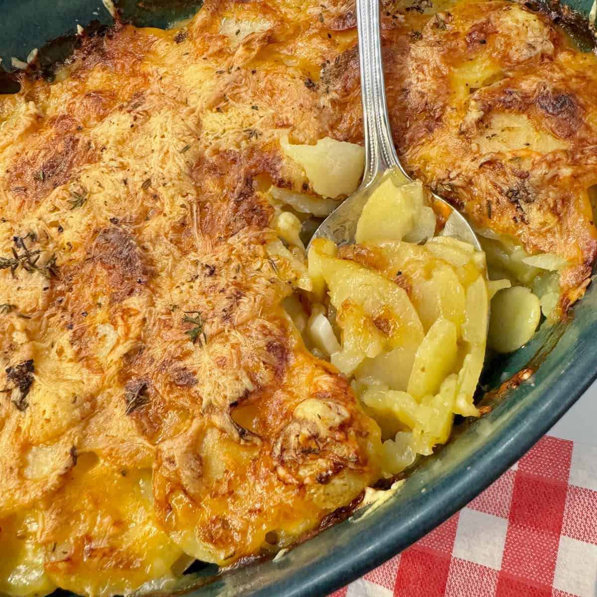 soft scalloped potatoes in a gratin dish topped with crispy cheese