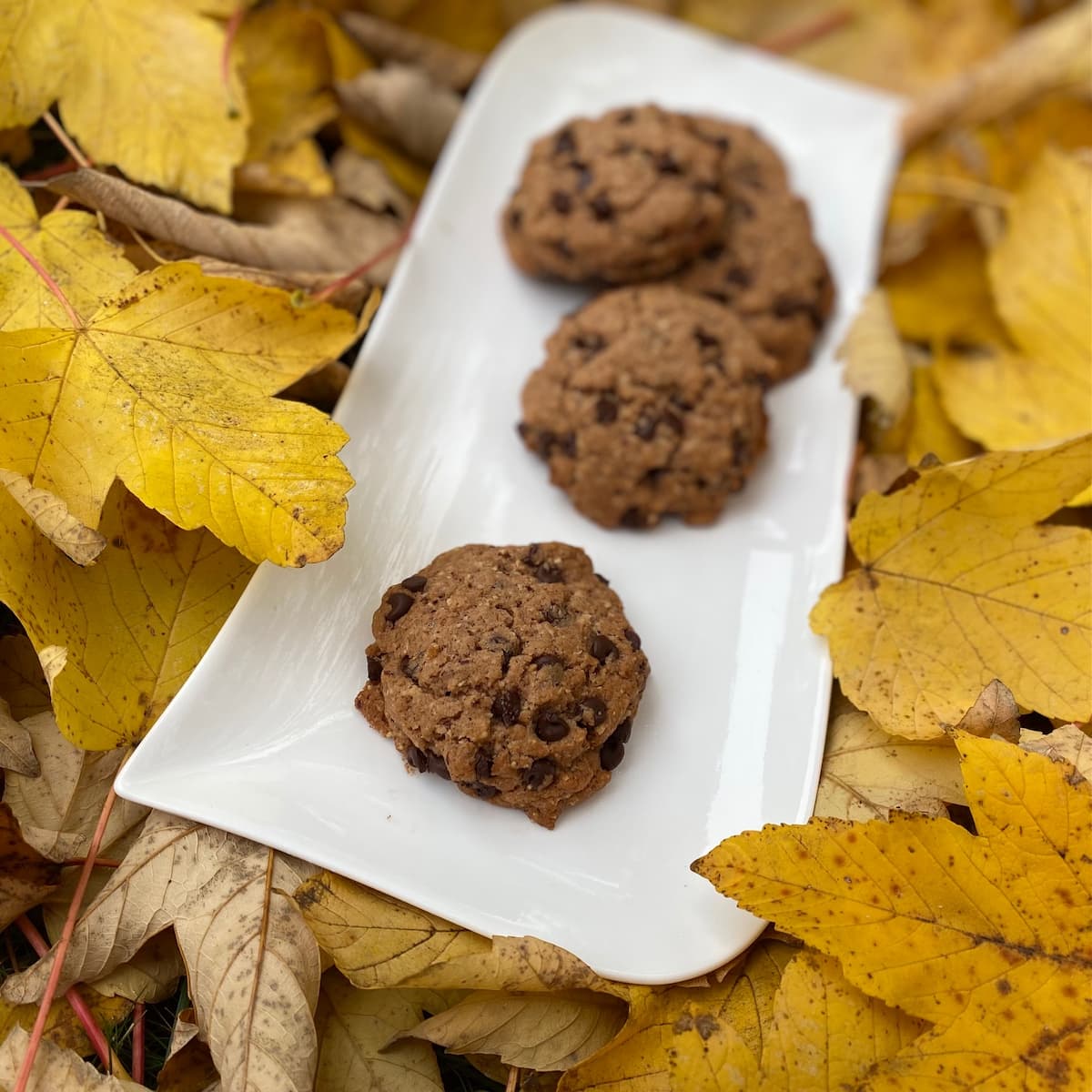 chocolate chip cookies in golden autumn leaves