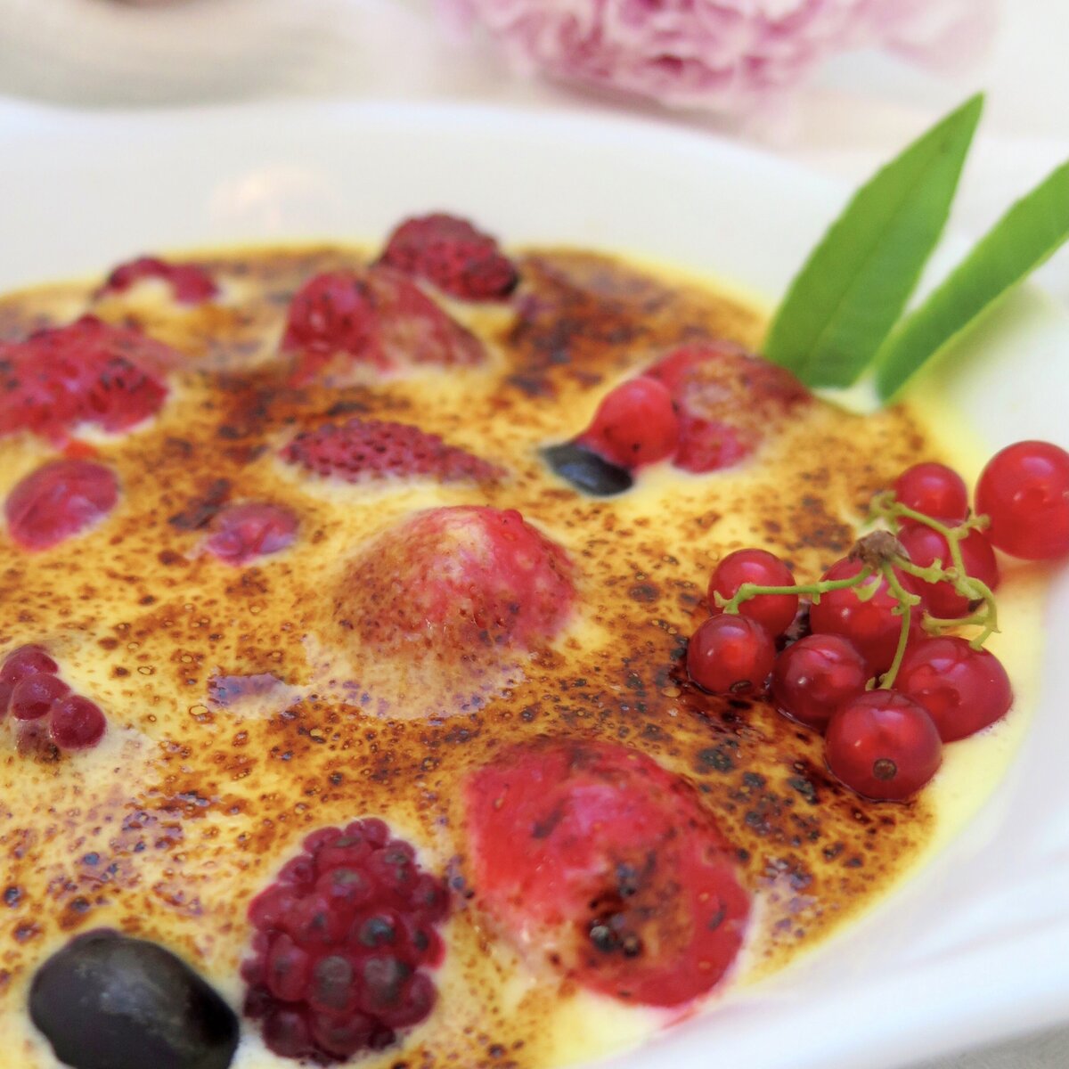 summer berry creamy gratin