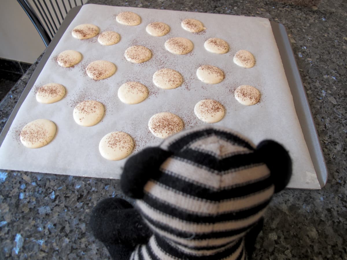 toy bear looking at piped unbaked macarons on a baking sheet