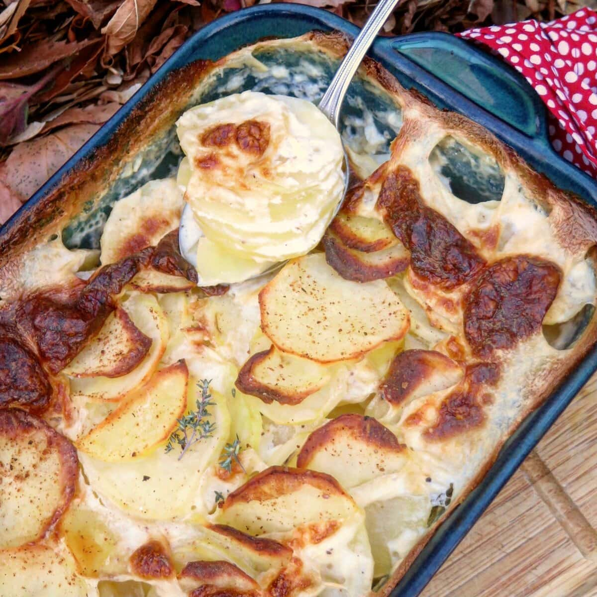 gratin dish of sliced potato bake with autumn leaves