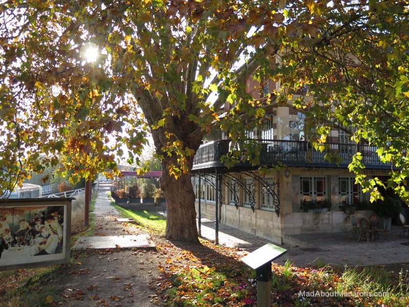 renoir tour chatou carrieres