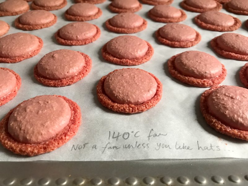 raspberry vegan macarons first attempt