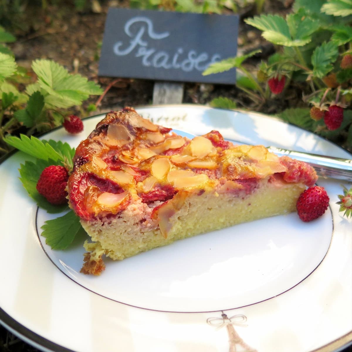 slice of strawberry baked custard clafoutis surrounded by wild strawberries