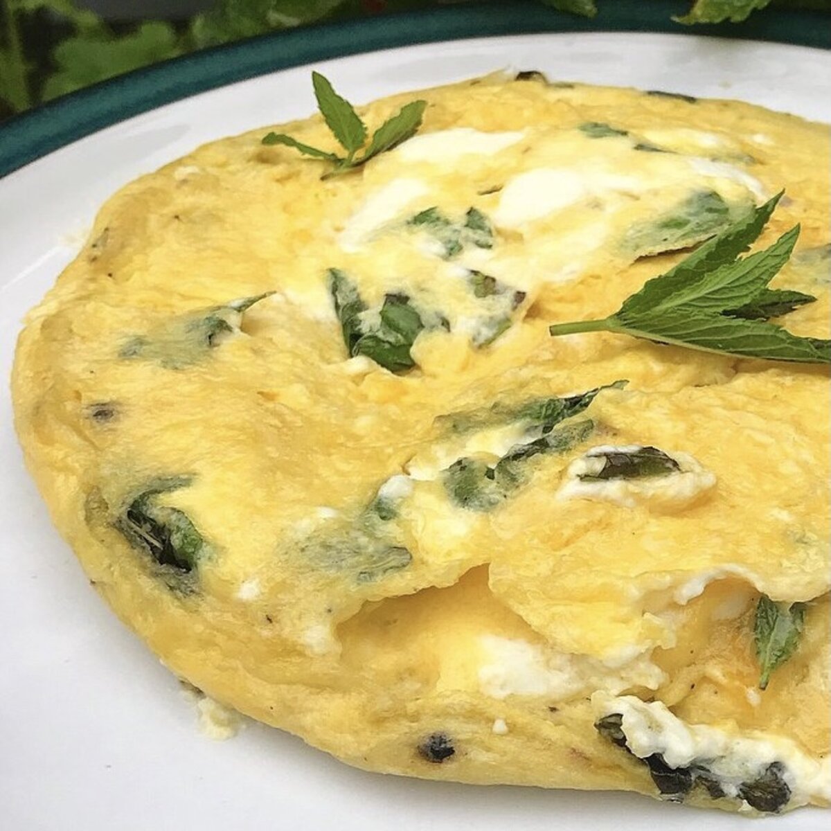 My favorite pan for cooking the difficult French omelet for my